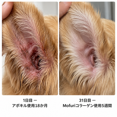 Mofuri™ プレミアム リキッドコラーゲン.