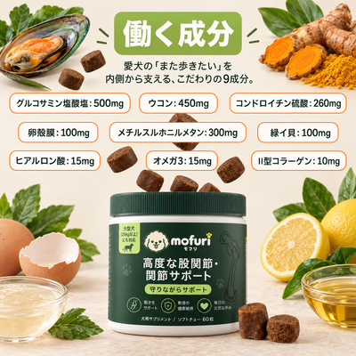 Mofuri 高度な股関節・関節サポート