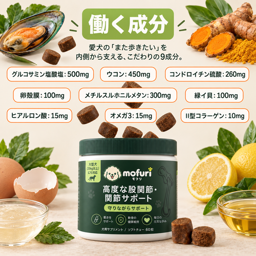 Mofuri 高度な股関節・関節サポート
