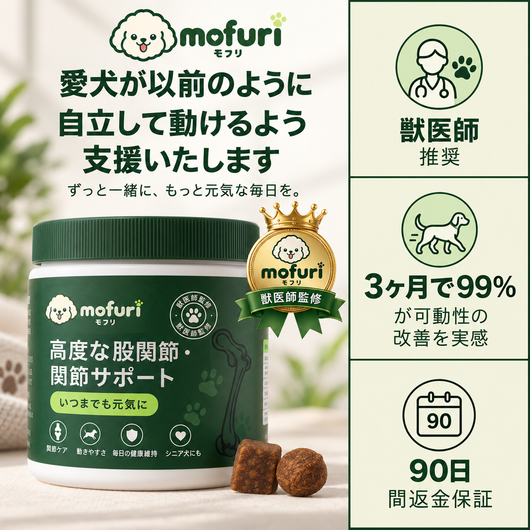 Mofuri 高度な股関節・関節サポート