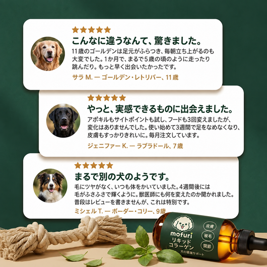 Mofuri™ コラーゲンプラス