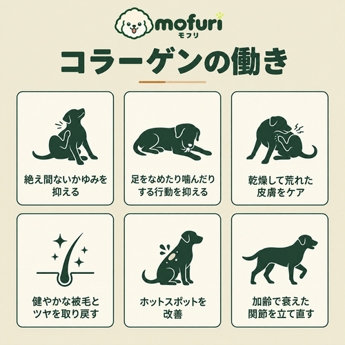 Mofuri™ コラーゲンプラス