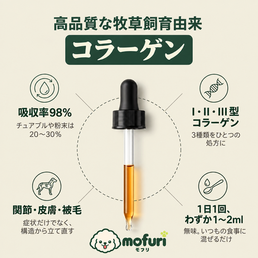 Mofuri™ コラーゲンプラス