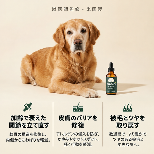 Mofuri™ コラーゲンプラス