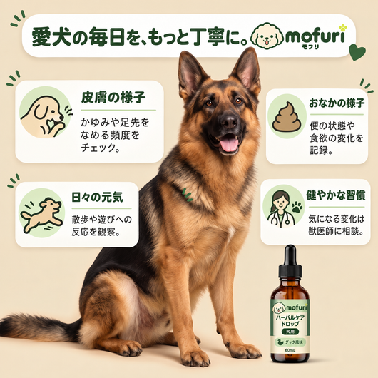 Mofuri™ ハーバルケア ドロップ