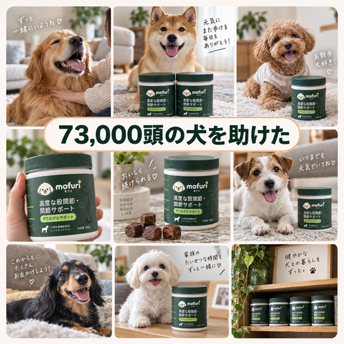 Mofuri 高度な股関節・関節サポート